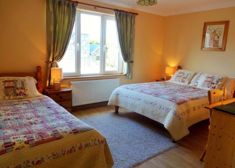 Bunratty Haven Bed & Breakfast Extérieur photo